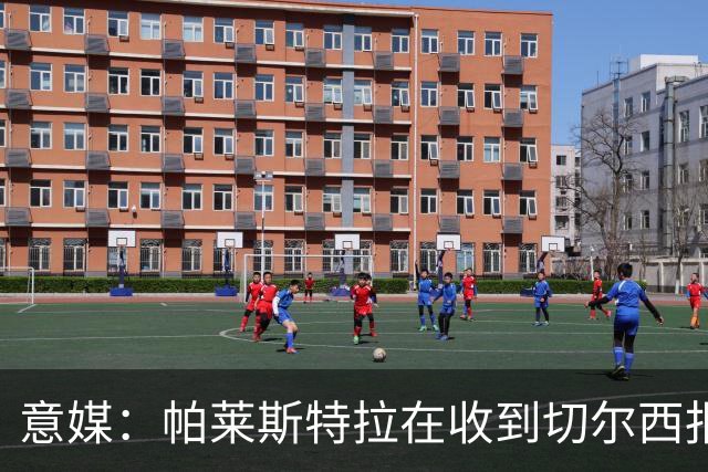 意媒：帕莱斯特拉在收到切尔西报价后，致电亚特兰大老板表示感谢